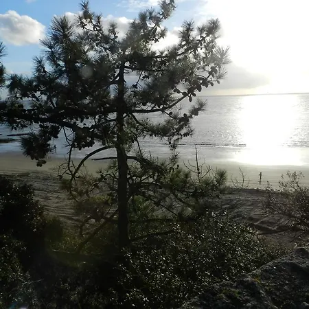 Sci Du 21 Bd De La Corniche Meschers-sur-Gironde